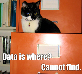 data cat