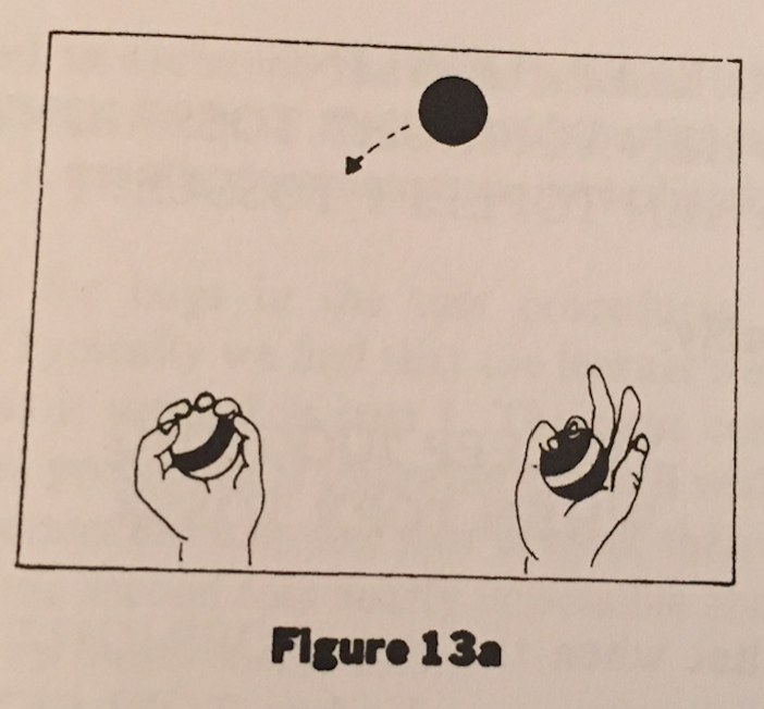 Figure 13a