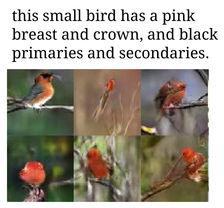 birds