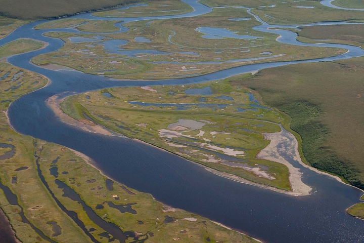 braided river