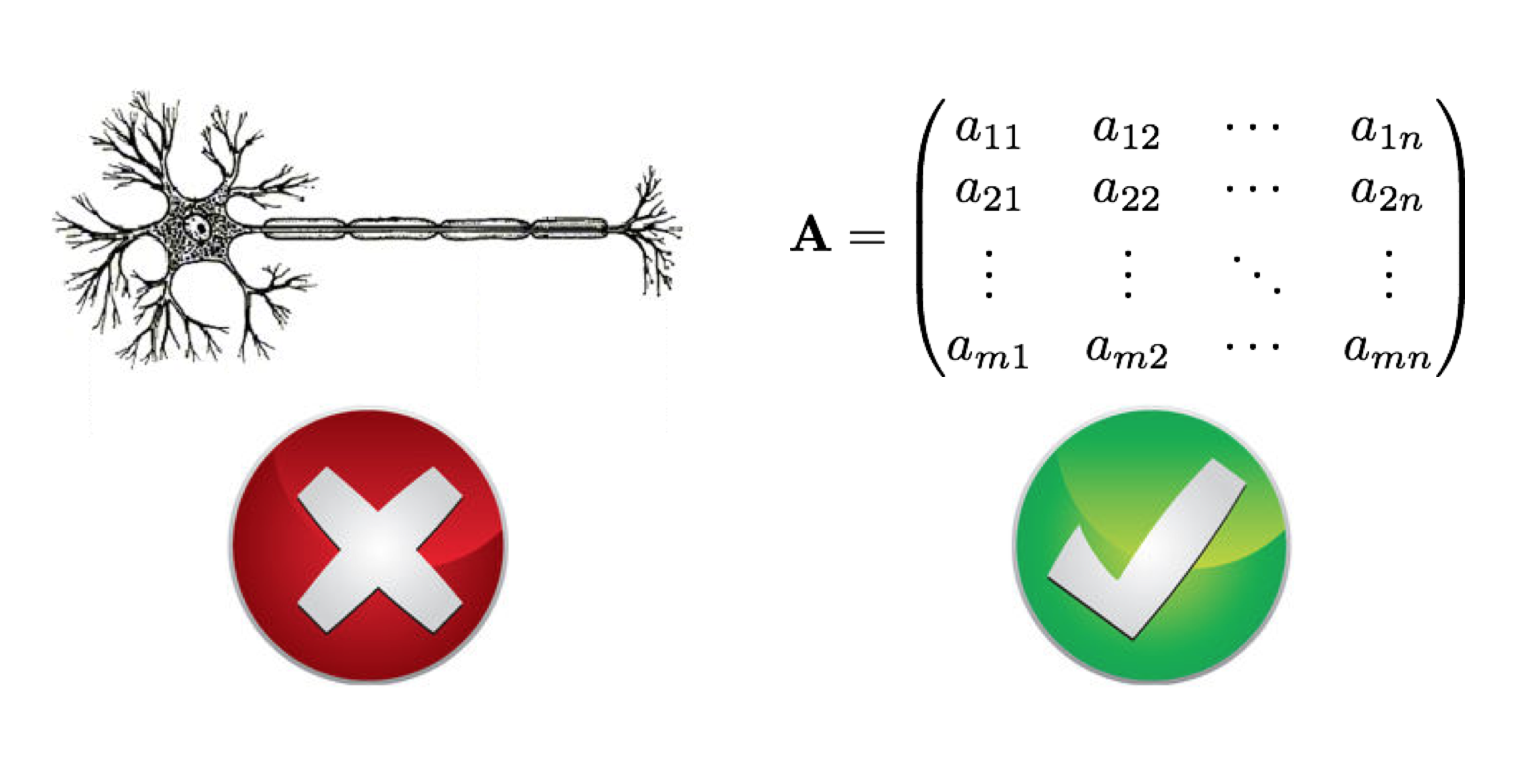 not neurons, tensors